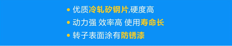 使用優(yōu)質(zhì)冷軋矽鋼片，硬度高；轉(zhuǎn)子經(jīng)高頻淬火，動(dòng)力強(qiáng) 效率高 壽命長(zhǎng)；轉(zhuǎn)子表面涂有防銹漆，更耐用！