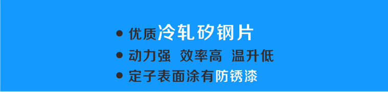 轉(zhuǎn)子選用優(yōu)質(zhì)冷軋硅鋼片，動(dòng)力強(qiáng)、效率高、溫升低，表面涂有防銹漆更耐用